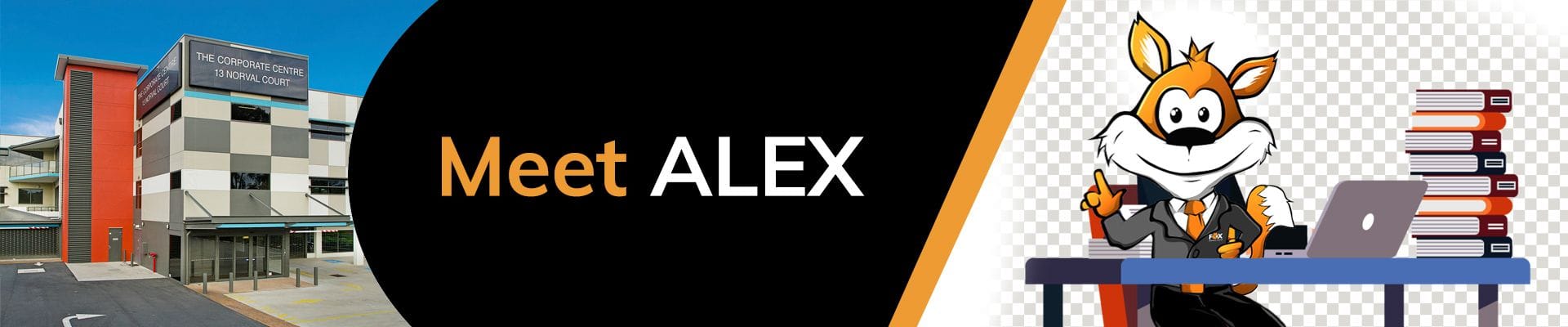 Meet Alex