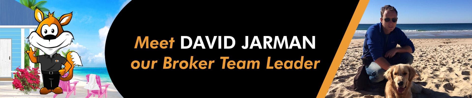 Meet David Jarman