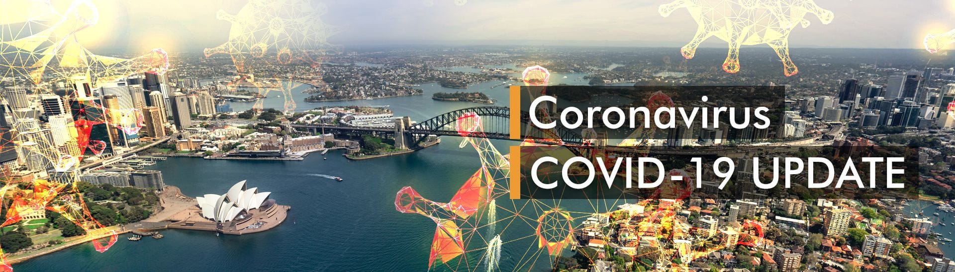 COVID-19