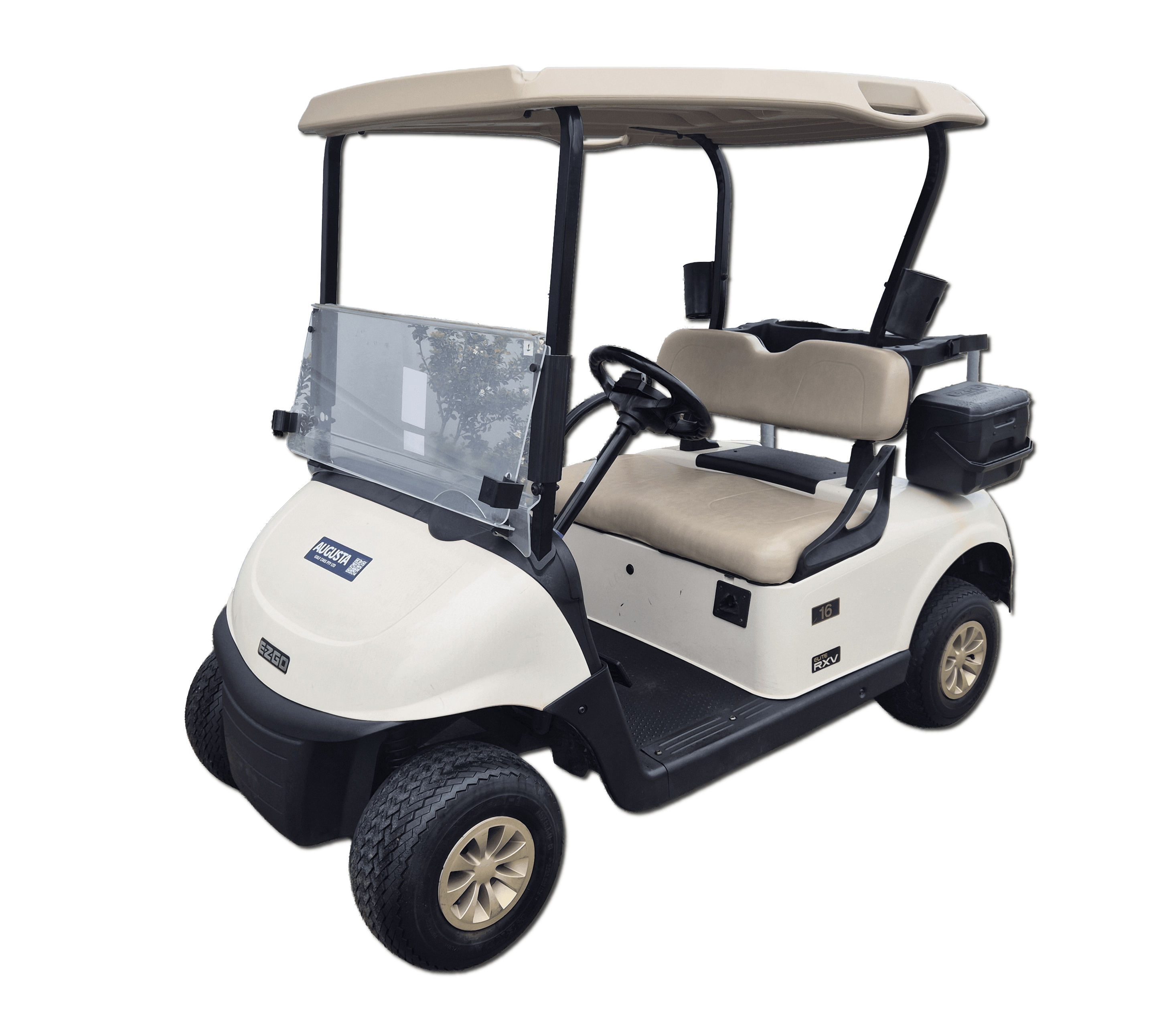 EZGO RXV FLEET