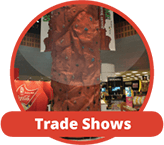 Trade Show stage set Rock Climbing wall