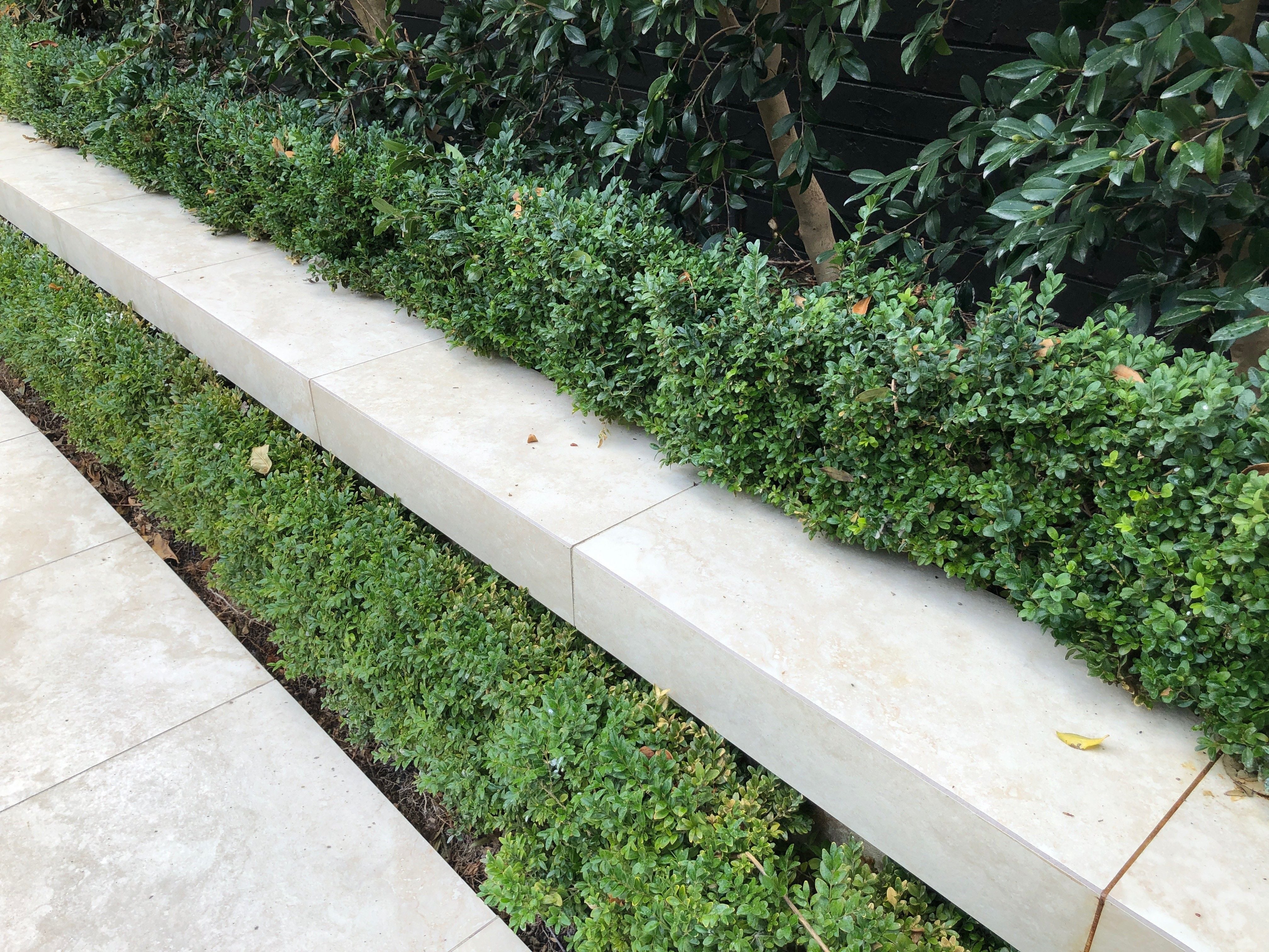 White Travertine Porcelain Image -624e1a7731a7c