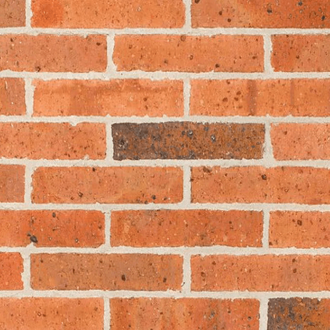Austral Daniel Robertson Traditional 50 Apricot Brick