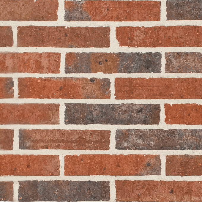 Austral Daniel Robertson Hawthorn 50 Tan Brick