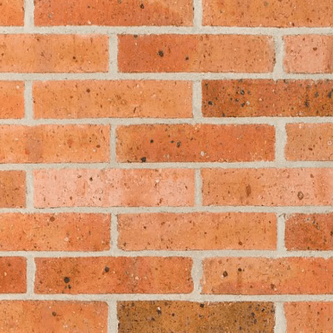 Austral Daniel Robertson Traditional 50 Buff Brick