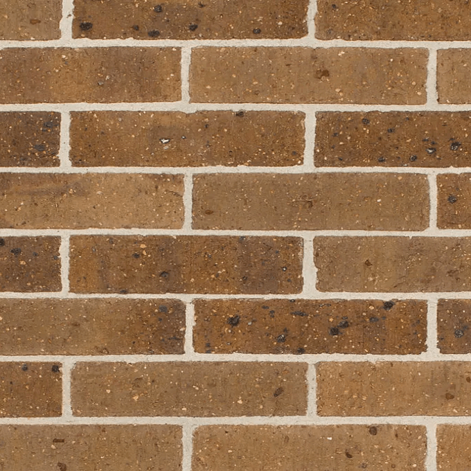 Austral Daniel Robertson Hawthorn 50 Cambridge  Brick