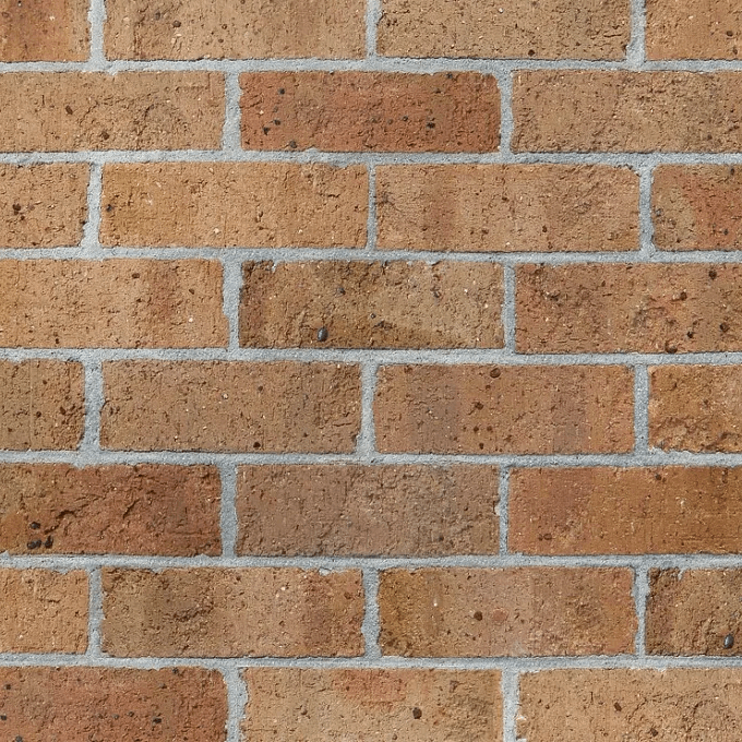 Austral Daniel Robertson Traditional Buff Brick