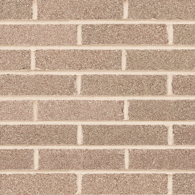 Austral Bowral 50 Simmental Silver Bricks