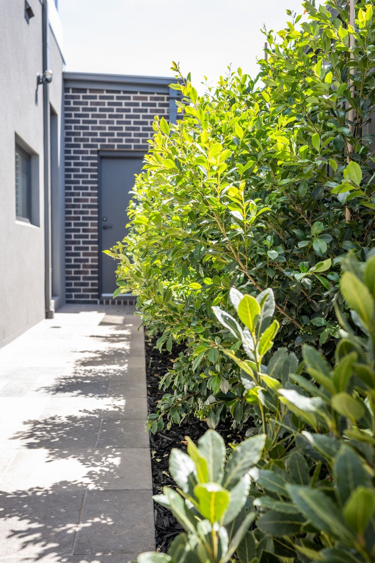 Cinza Limestone Cinza Limestone