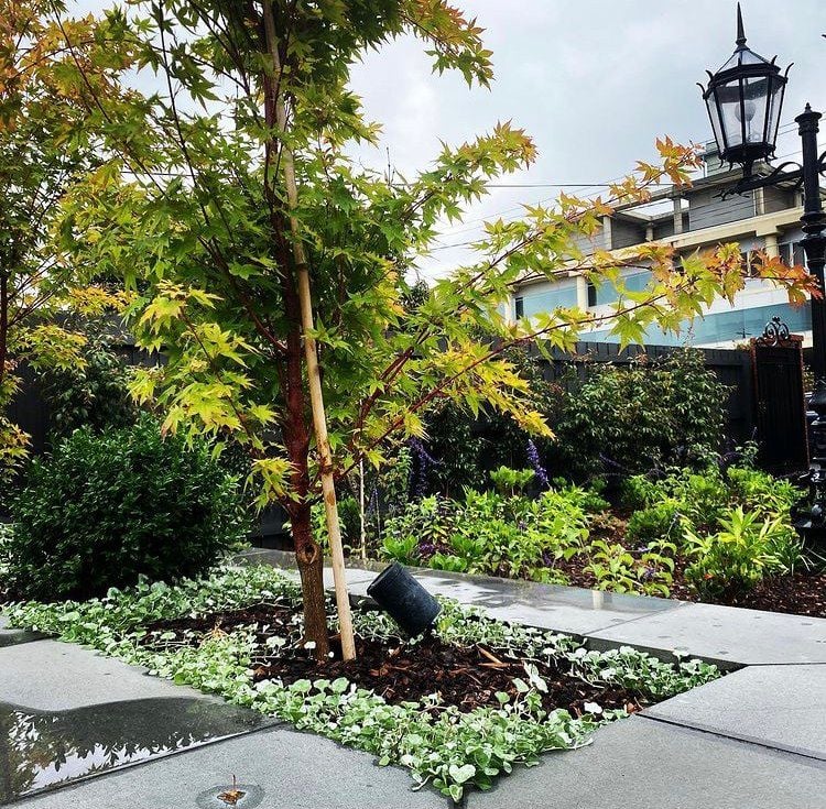 Bluestone Pavers Australia