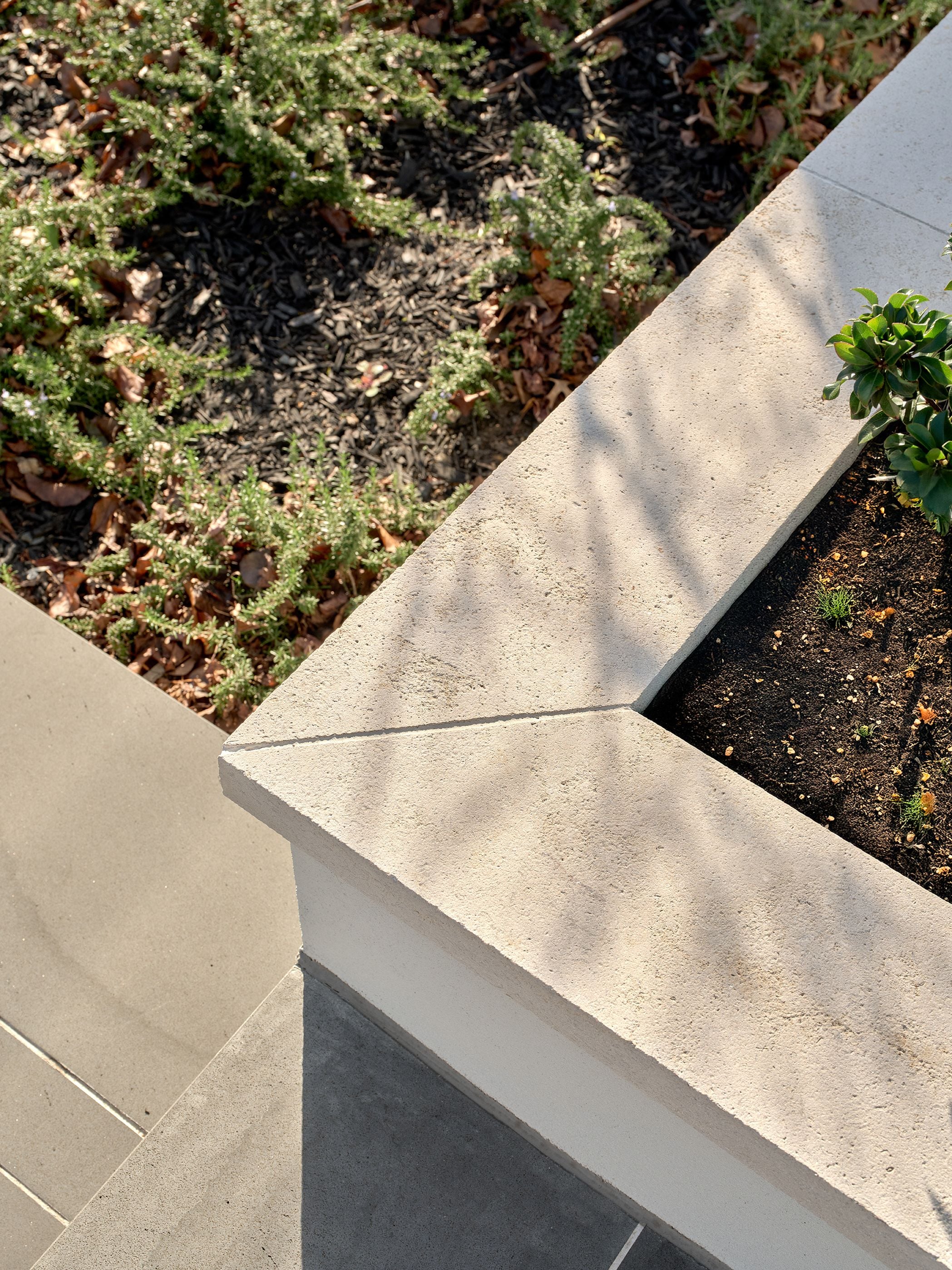 Midnight Bluestone Steps + Patara Limestone Capping