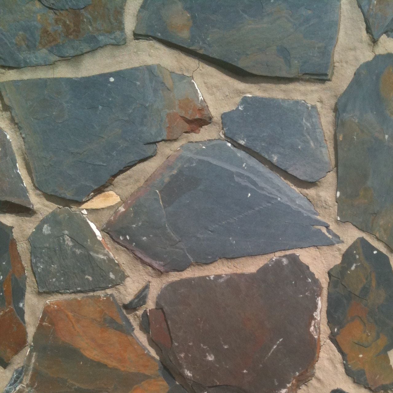 Black Jack Crazy Pave