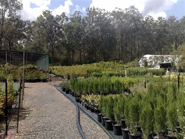 Nursery irrigation systems in Brisbane