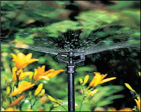Domestic irrigation