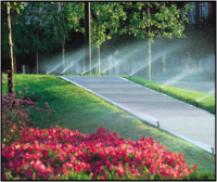 Domestic irrigation Domestic irrigation