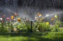 PRO Spray Ultra Sprinkler Watering Garden