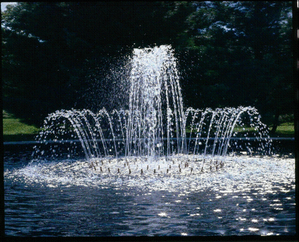 5fd96f8363f2a.gif 5fd96f8363f2a.gif