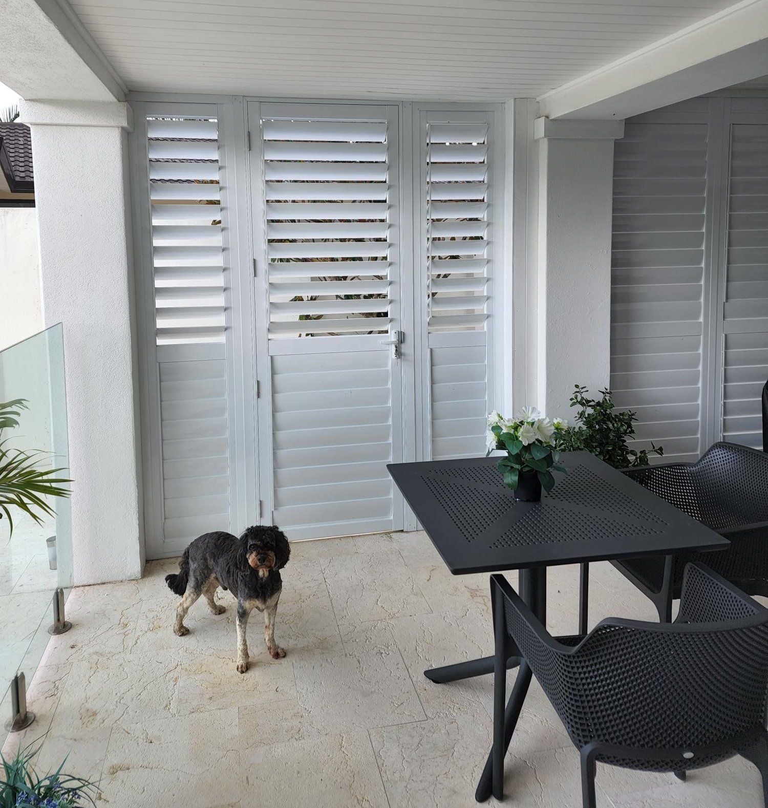 Exterior Shutters Image -6305a08ac634c