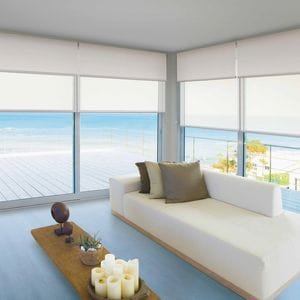 Double View Roller Blinds