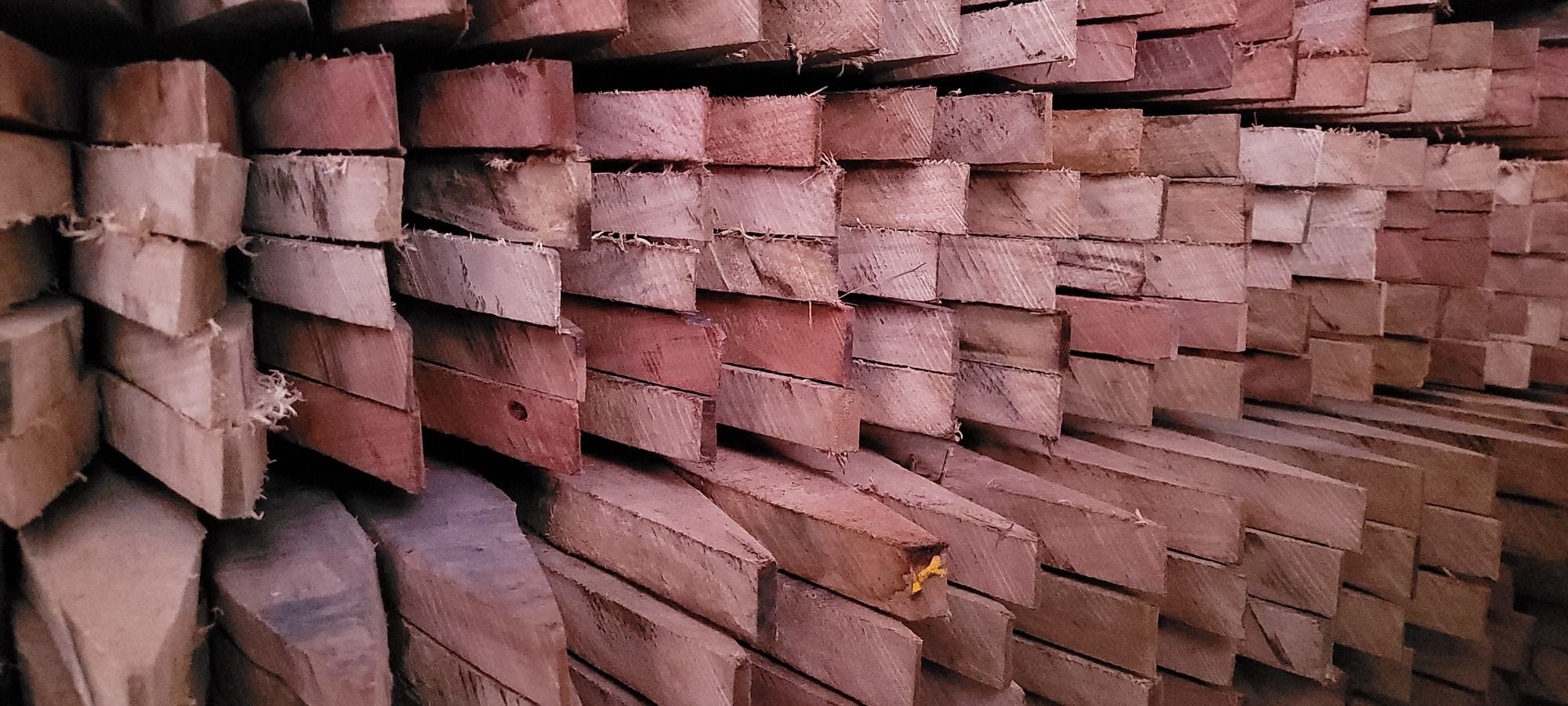 Hardwood Timber Stakes