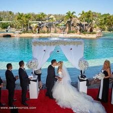 Sea World wedding