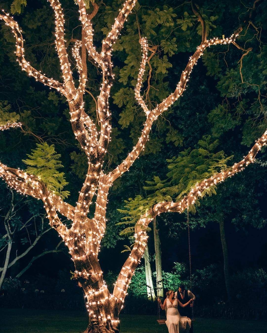 Decadence Package Image -5b6fd40757240