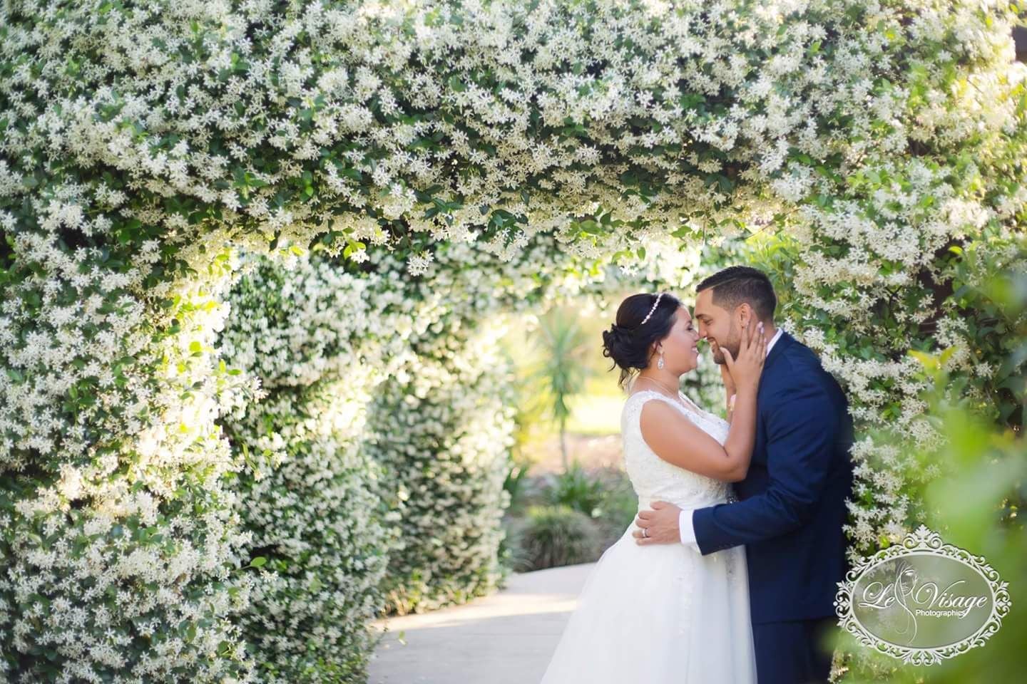 Decadence Package Image -5b6fd46f6b95a