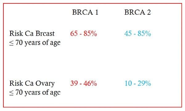 In mutations which impair that function there are increased risks of breast and ovarian cancer