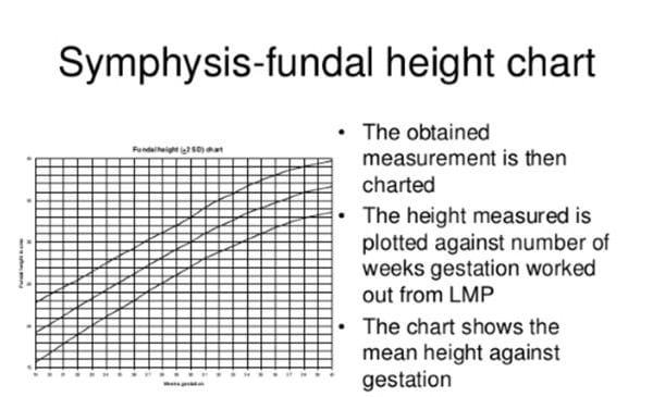 Symphysis-fundal height chart