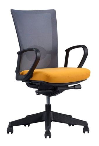Forte chair
