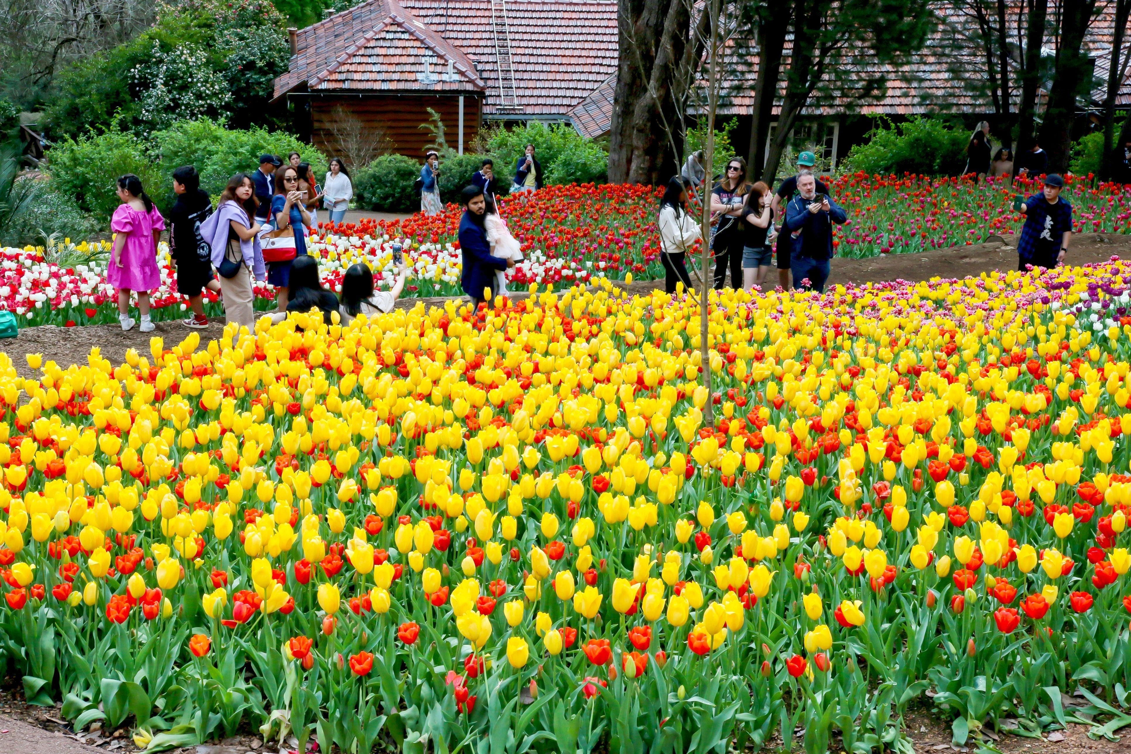 Connect Coaches Fun Tours for Seniors
