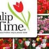Tulip Time in the Highlands - September - October