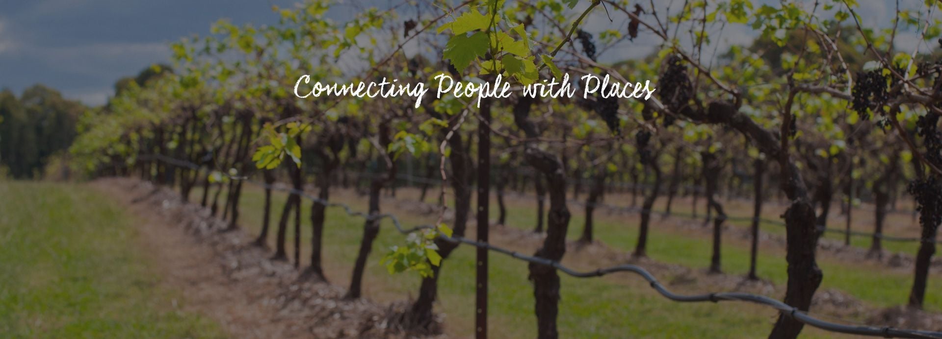 Hunter Valley Vineyard Group Bus Trips Hunter Valley Vineyard Group Bus Trips