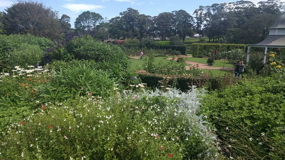 Step Back in Time Tour at Gleniffer Brae + Wollongong Botanical Gardens Image -58feecd460804