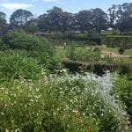 Step Back in Time Tour at Gleniffer Brae + Wollongong Botanical Gardens Image -58feecd460804