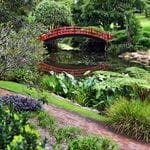 Step Back in Time Tour at Gleniffer Brae + Wollongong Botanical Gardens Image -58feecd600a22