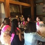 Hens Party - Hunter Valley November 2017 Image -5a082385ac7dc