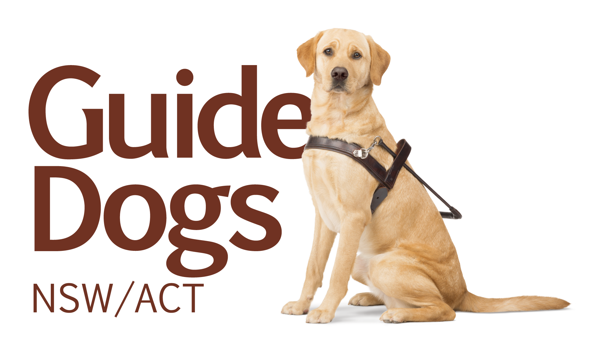 Guide Dogs NSW Day Tour