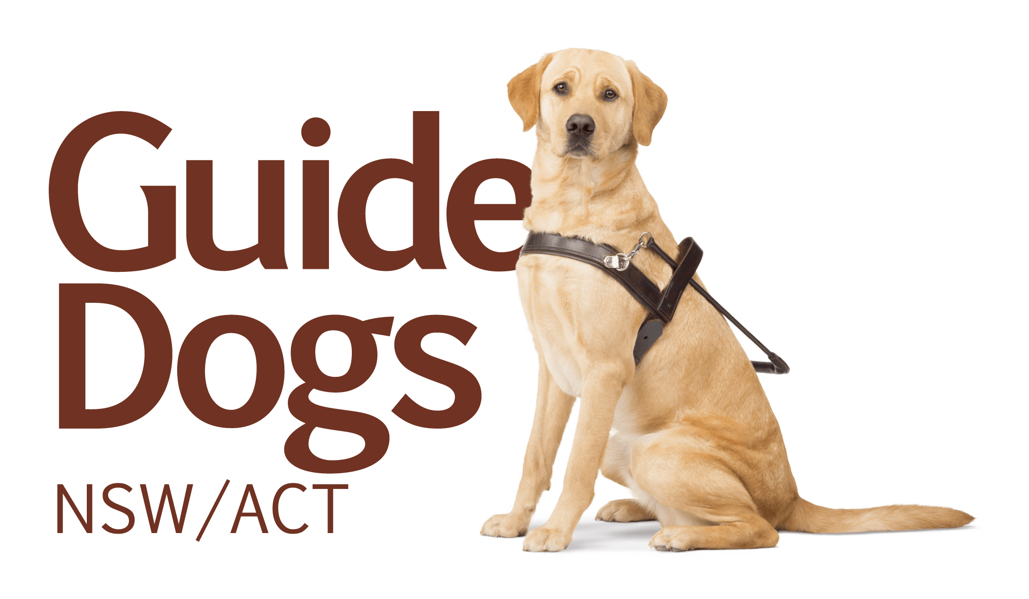 Guide Dogs NSW Day Tour Guide Dogs NSW Day Tour