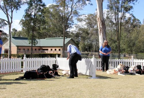 Guide Dogs NSW Day Tour Image -5a0bc8d6bda23