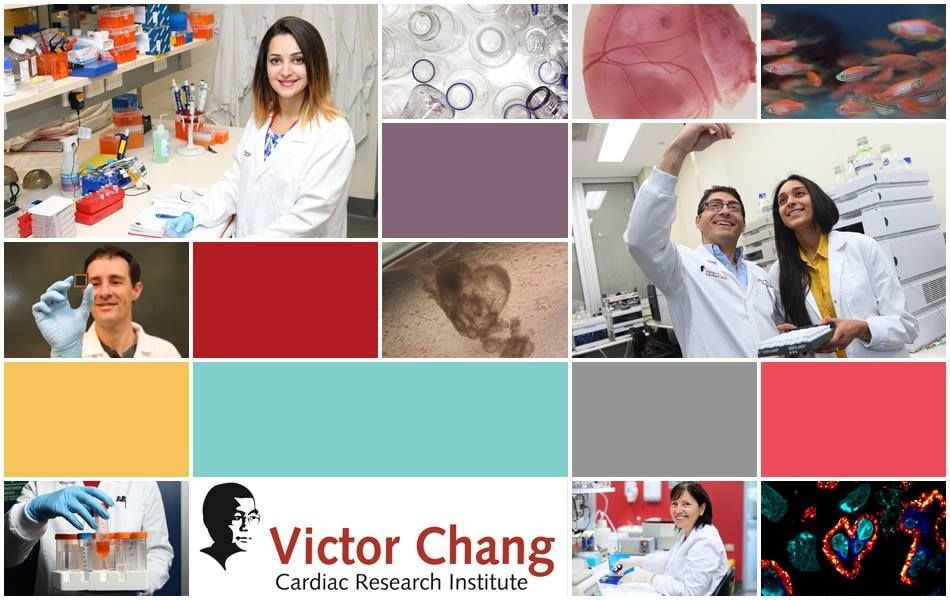 Victor Chang Research Institute Victor Chang Research Institute