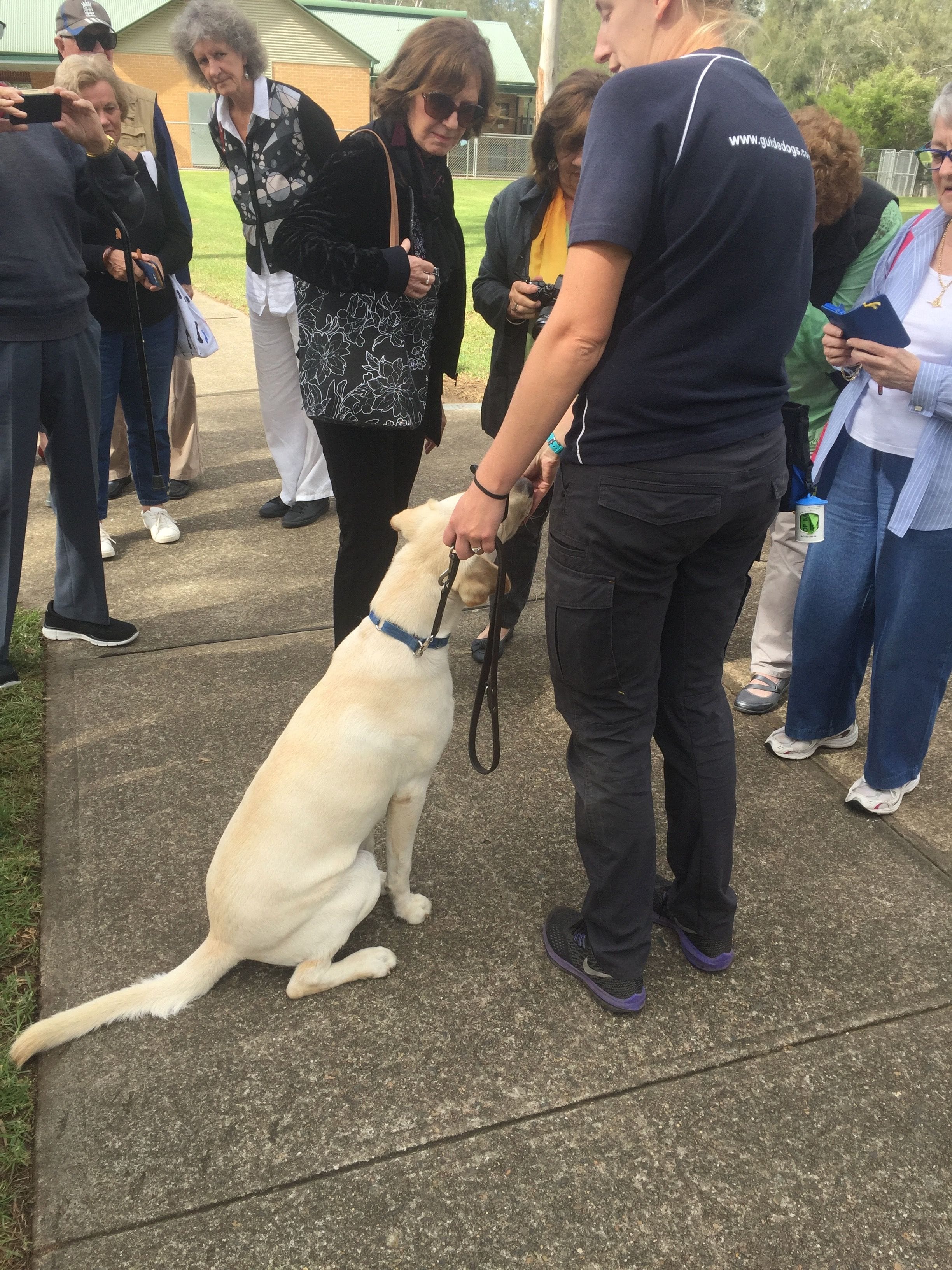Guide Dogs NSW Day Tour Image -5b1626608fa6f