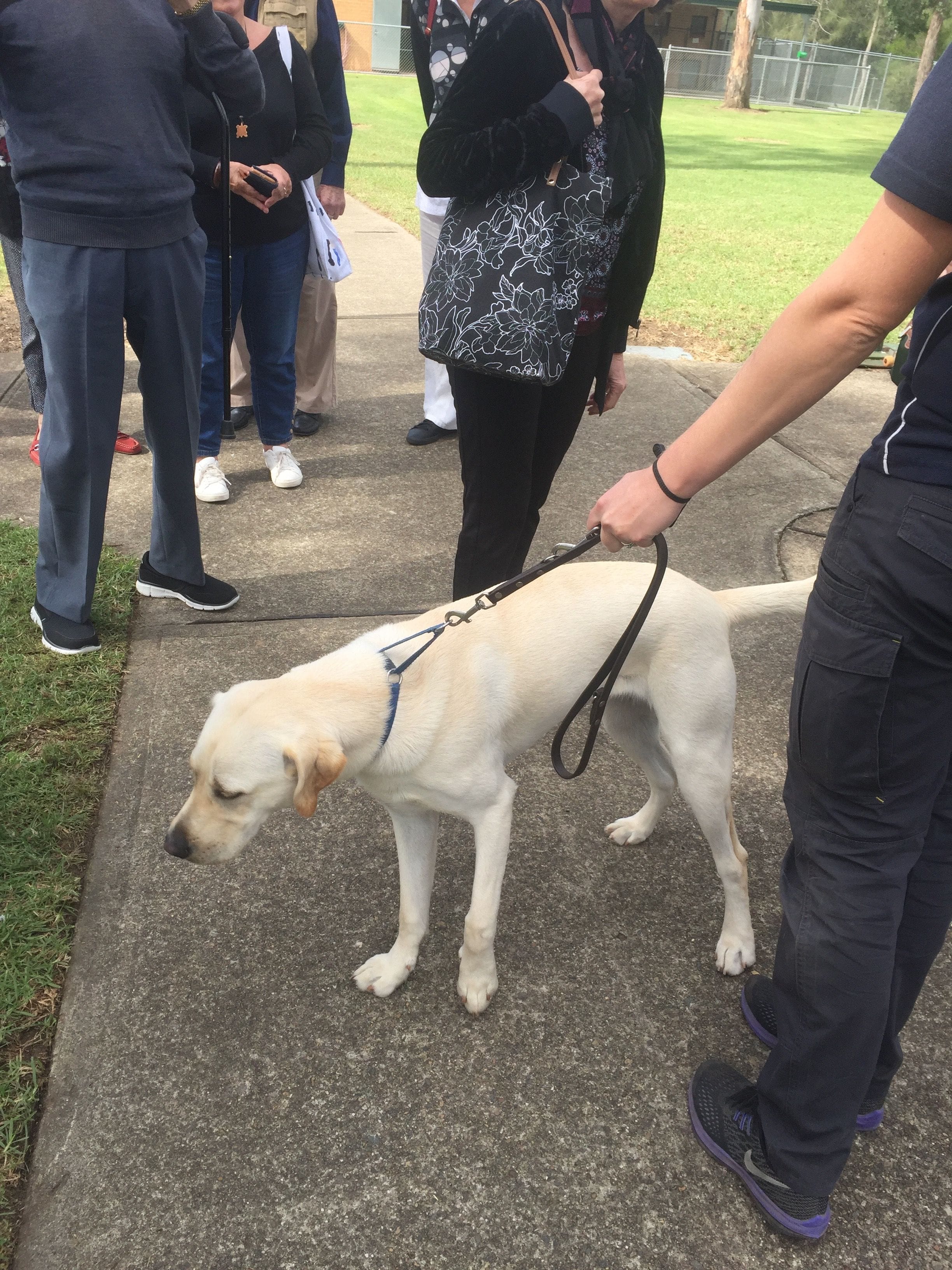 Guide Dogs NSW Day Tour Image -5b16266192323
