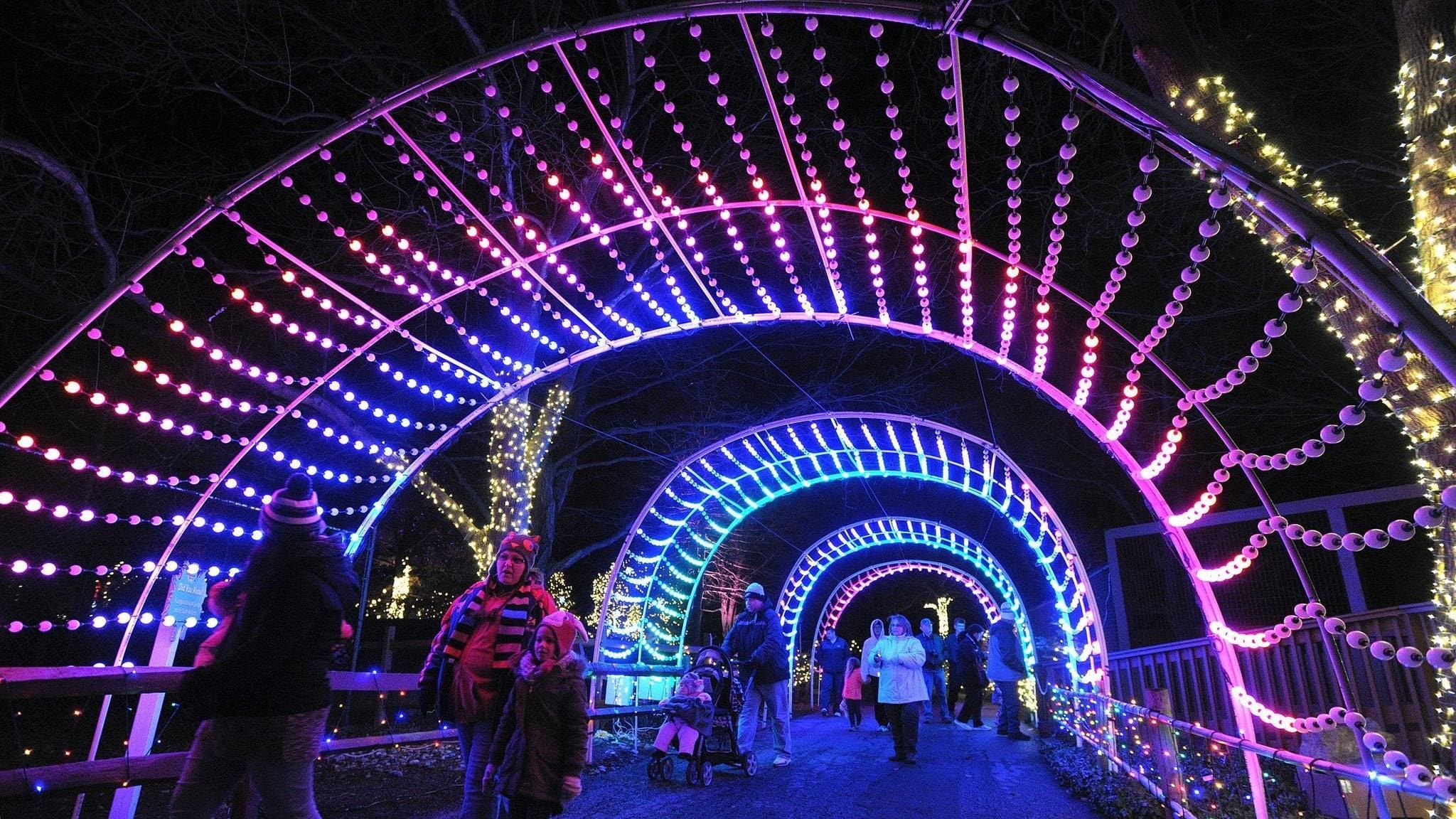 Hunter Valley Christmas Lights Spectacular Image -5b3ab8c0a2dc0