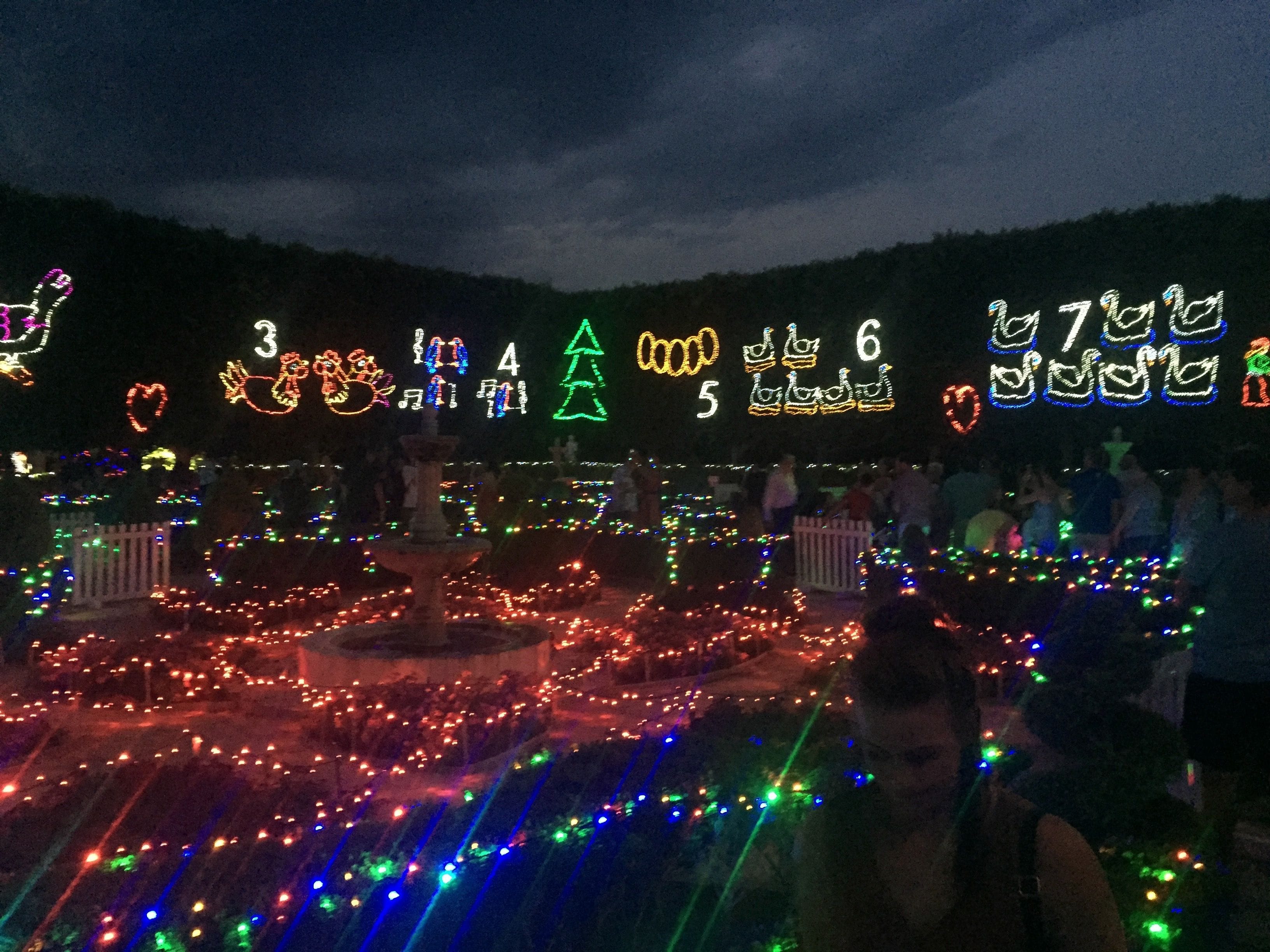 Hunter Valley Christmas Lights Spectacular Image -5b3abbba6a9d9