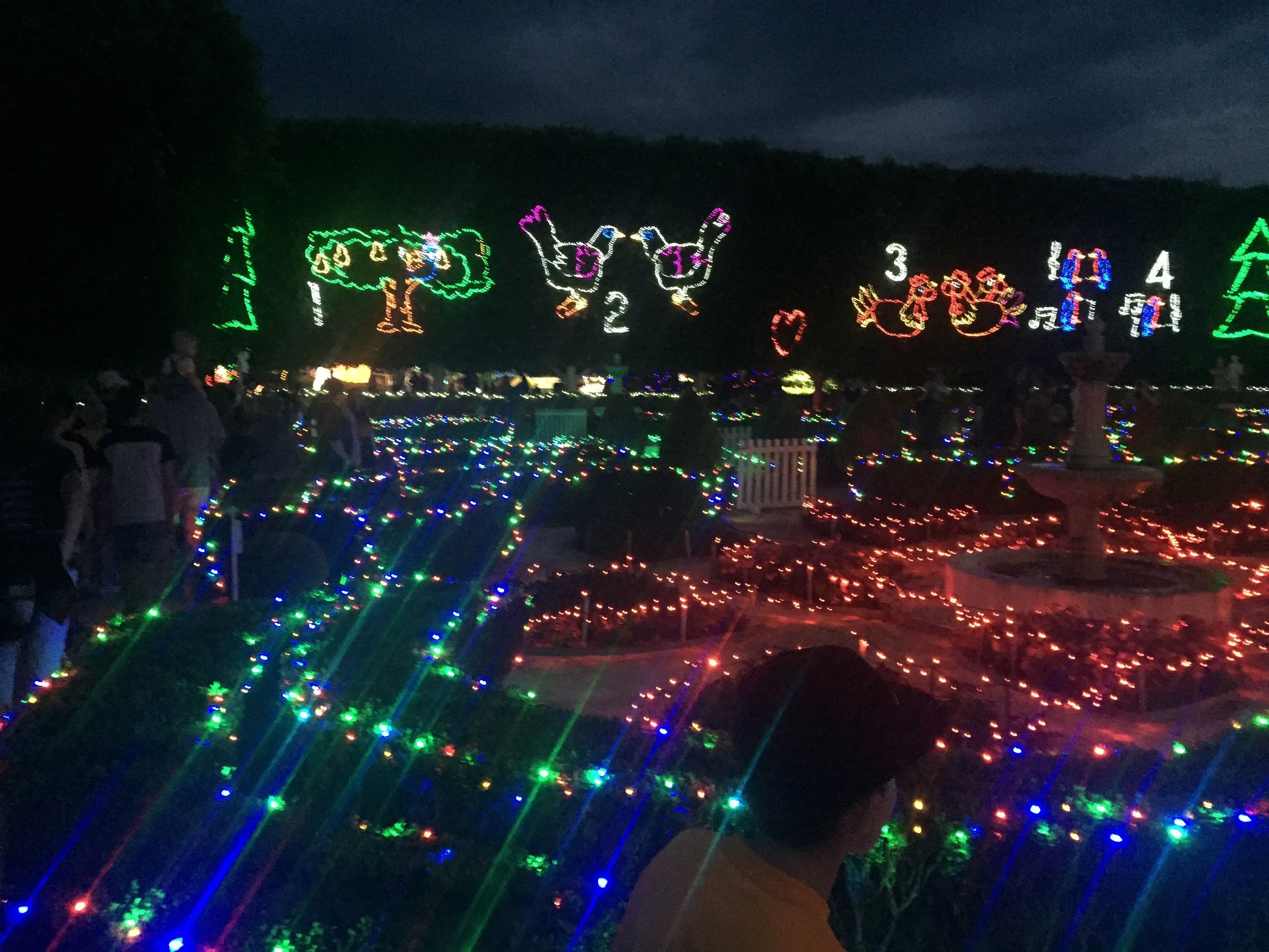 Hunter Valley Christmas Lights Spectacular Image -5b3abbbb8a427