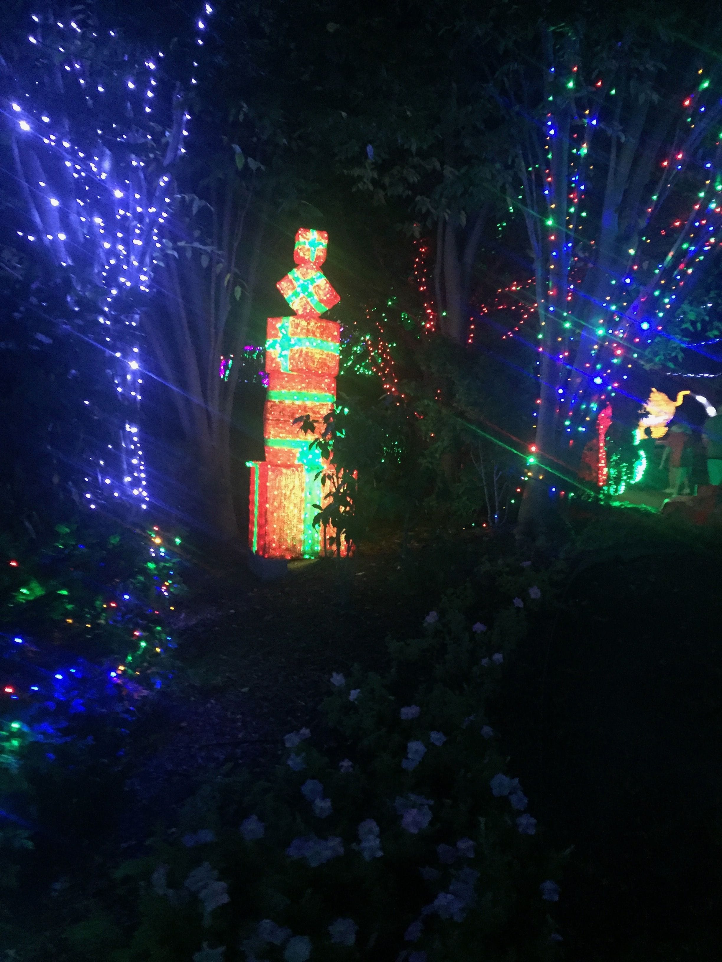 Hunter Valley Christmas Lights Spectacular Image -5b3abbc92894d