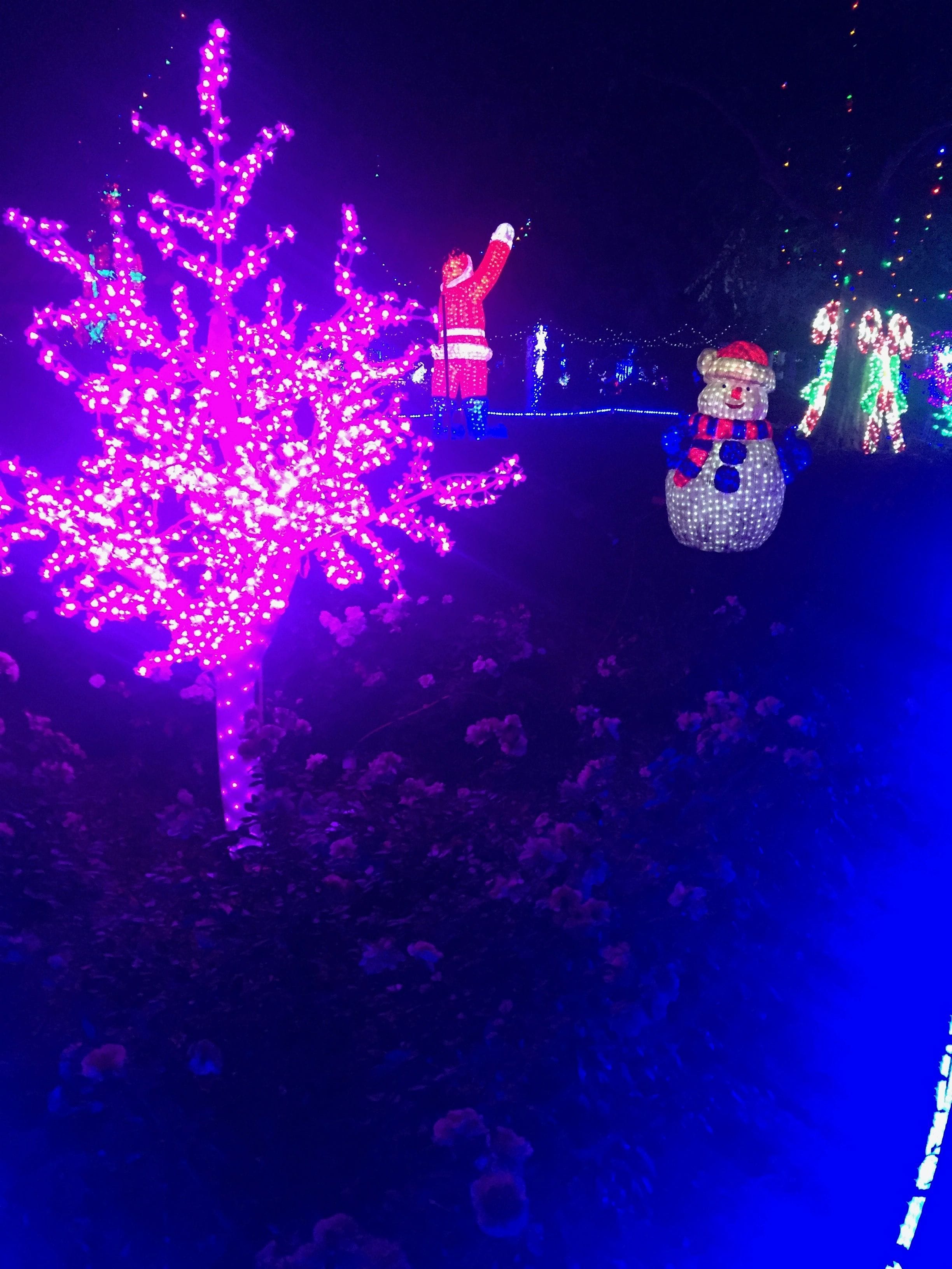Hunter Valley Christmas Lights Spectacular Image -5b3abbd998b03