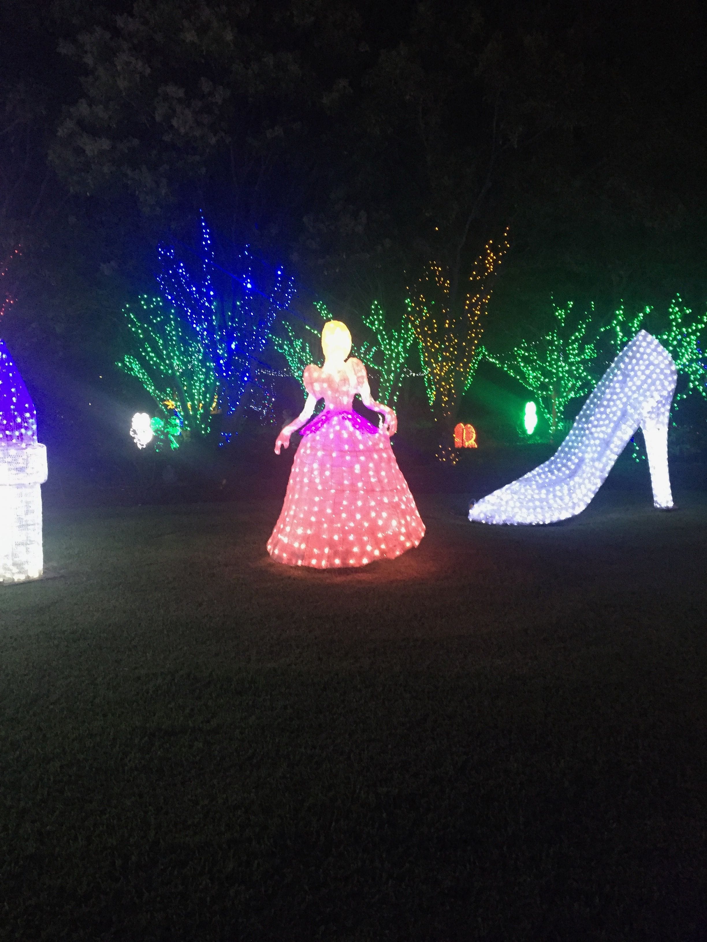 Hunter Valley Christmas Lights Spectacular Image -5b3abbe4622ef