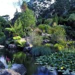 Mount Tomah Botanic Gardens Image -5b41880a95cdd